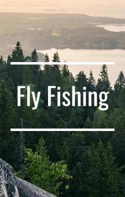 Fly fishing