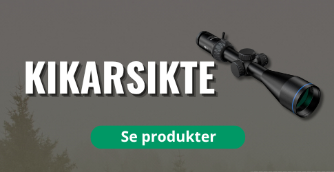 Kikarsikte