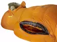 Fjällräven Polar -30 Reg Burnt Orange - Sleeping Bags - 7392158988990 - 4