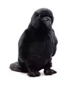 Plush Toy Raven 23cm - Plush Toys - 4028667191691 - 1