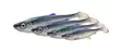 Savage Gear 3D Herring Shad 28cm 150g - Pike Soft Baits and Jigs - 5706301022011 - 1