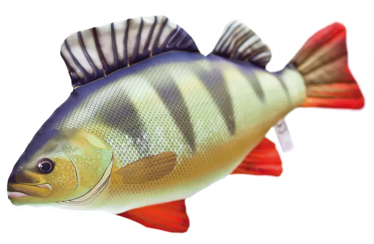 Mjuk fisk Abborre 50cm - Gosedjur - 5905279175051 - 1