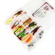 Jasu Tiera 8cm Jig Assortment 30 pcs + Jig Heads - Jigs - 6430075932212 - 2