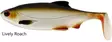 Westin Ricky The Roach Shad 18cm/85g - Pike Soft Baits and Jigs - 5707549436202 - 4