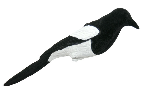 Heltäckande bild av skata - Lockbilder - 702010003 - 1