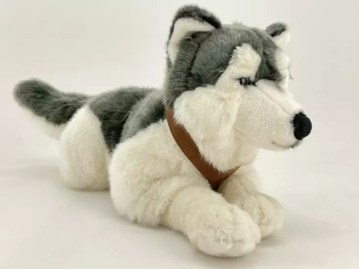 Pehmoeläin Husky valjailla 62cm - Gosedjur - 4028667182743 - 1