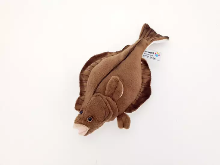 Fjäderfisk Kampela 25cm - Gosedjur - 6430018779324 - 1