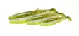 Savage Gear Cannibal Shad 8cm - Jiggar - 5706301771315 - 1