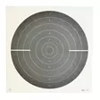 Camouflage Board 24 Official 55x55cm - Shooting Targets - 6410362402406 - 1