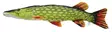 Soft Fish Pike 80cm - Plush Toys - 5905279175037 - 1