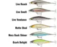 Rapala Shadow Rap Shad 9cm 12g - Wobbler - 022677367057 - 3
