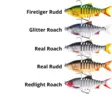 Westin Ricky The Roach Multi Jointed R2F 14cm 41g - Jerkbait och Hybriddrag - 5707549512937 - 3