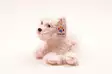 Mjukisdjur Hund Westie 24 cm - Gosedjur - 6430018771878 - 2