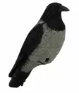 Live Crow - Decoy Images - 6430038641038 - 1