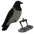 Live Crow - Decoy Images - 6430038641038 - 2