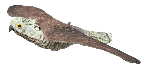 Hawk, Live Hawk - Decoy Images - 702010008 - 1