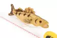 Softfish Zander 25cm - Plush Toys - 6430018771649 - 3