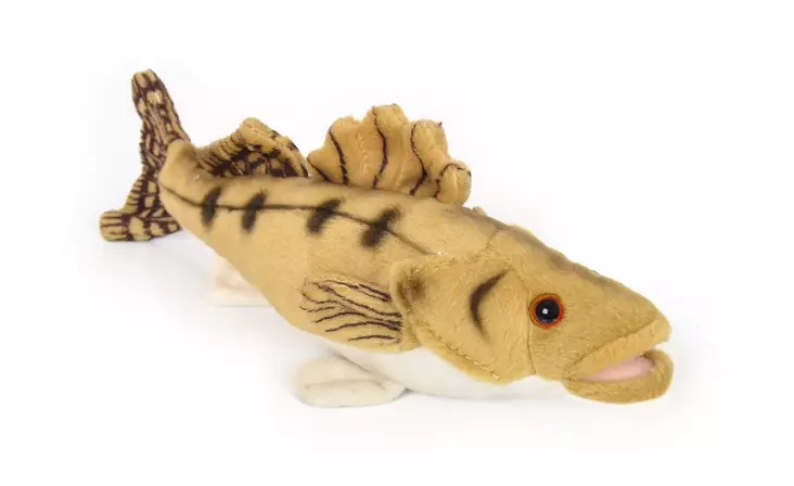 Softfish Zander 25cm - Plush Toys - 6430018771649 - 2